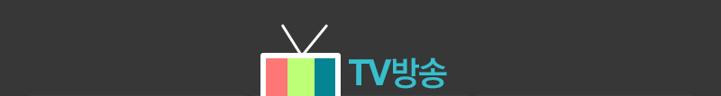 TV방송